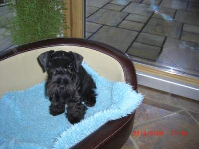 Joeline in ihrem neuem Zuhause