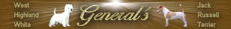 " General�s " west highland white & jack rusell terrier