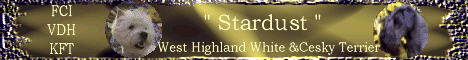 Kennel "STARDUST" Herzlich Willkommen!!!