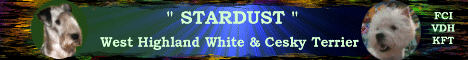 Kennel "STARDUST" Herzlich Willkommen!!!