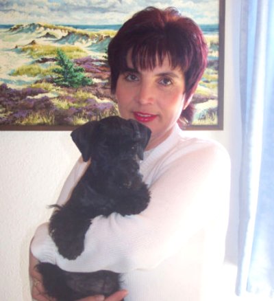 Stardust " Star Attraction"